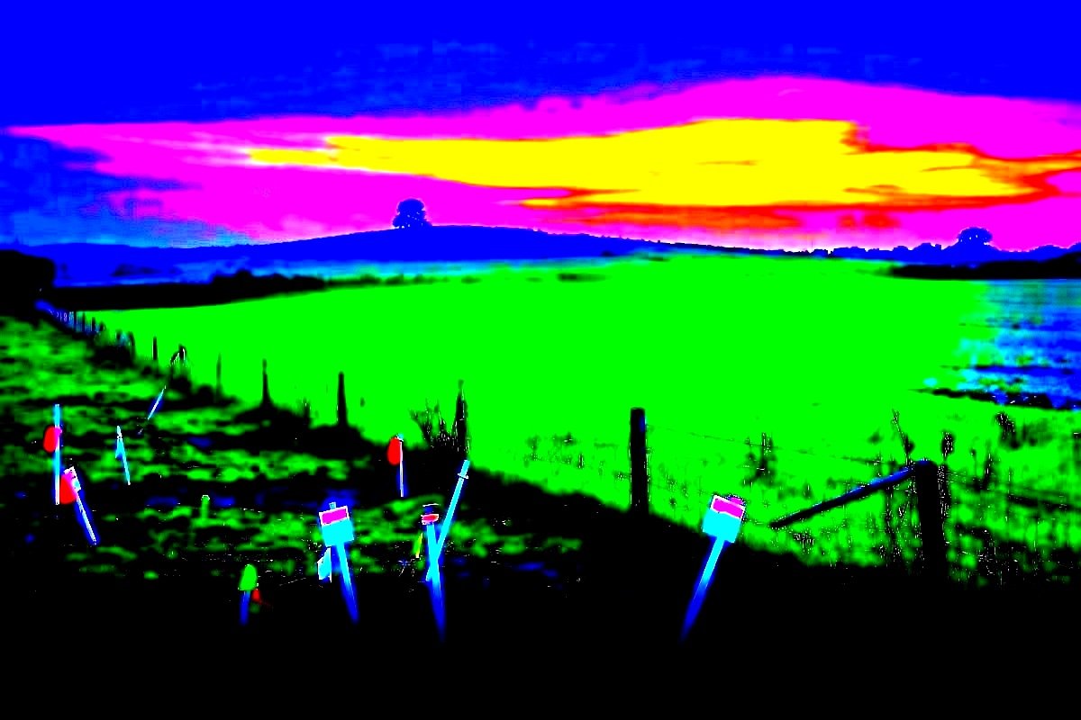 Cover art for Your Land, Planning Permission, as well as How Enforcement In honest terms Reaches You